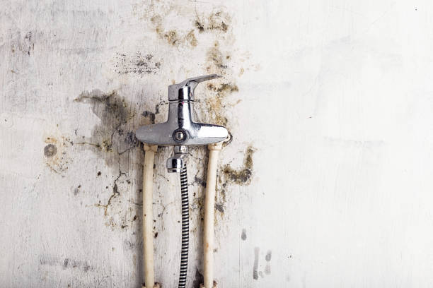  Wind Gap, PA Mold Removal Pros